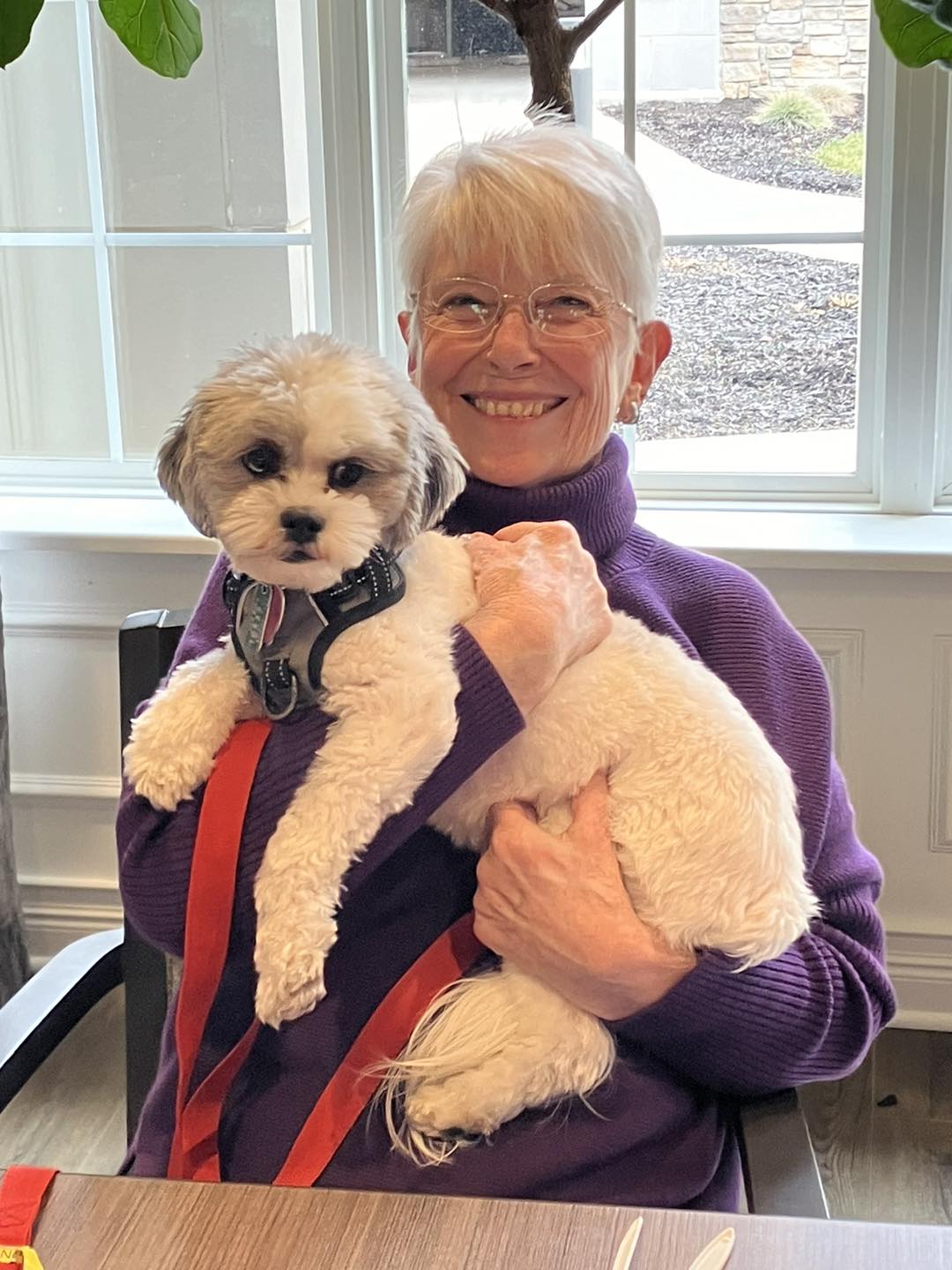 A senior resident smiling and holding a small fluffy dog in her arms while seated by a window in a senior living community, both enjoying a moment of companionship