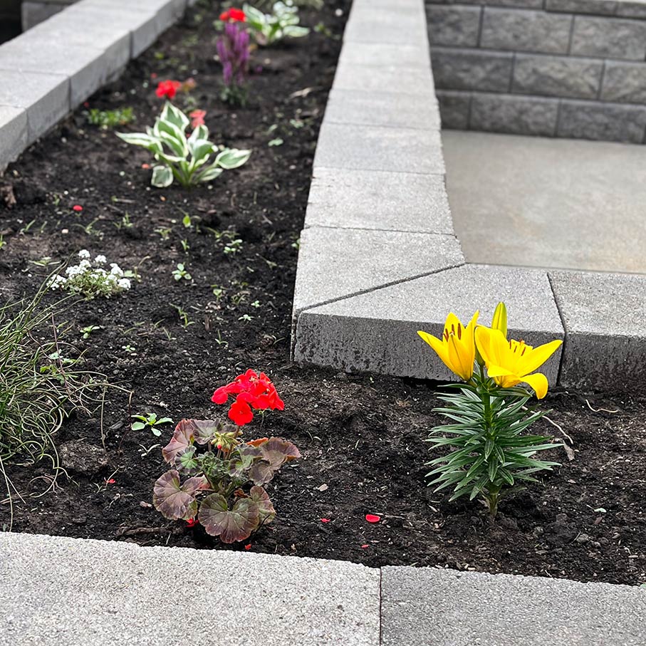 Flower beds at Rock Creek Senior Living, landscaped with freshly planted yellow and red flowers.