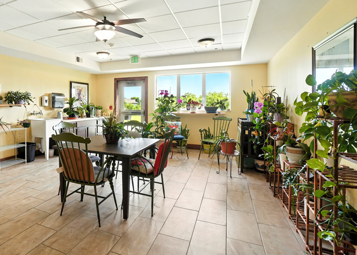 Sunlit community garden room at Rock Creek Senior Living with indoor plants, seating, and large windows.